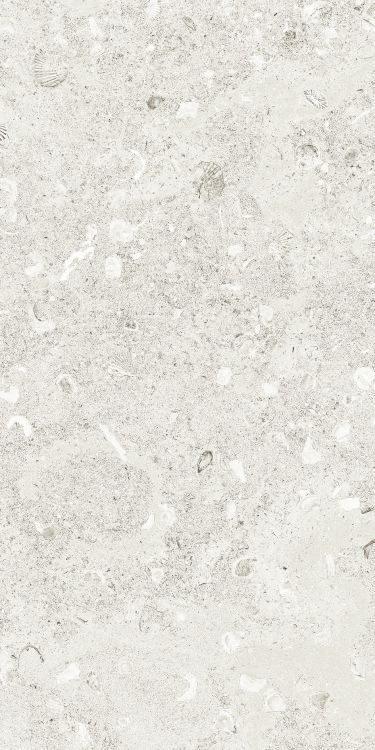 Sea Luster Bianca Matte 12 x 24